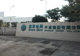 國家電網 河南平高集團有限公司